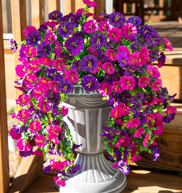 UV Resistant Hanging Morning Glory